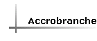 Accrobranche